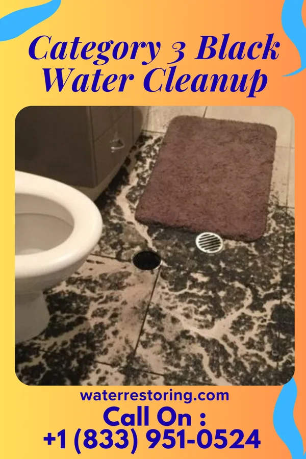 Category 3 Black Water Cleanup in Wagram, NC