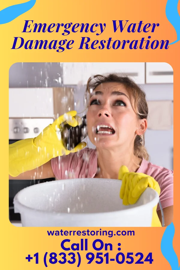 Emergency Water Damage Restoration in Wagram, NC