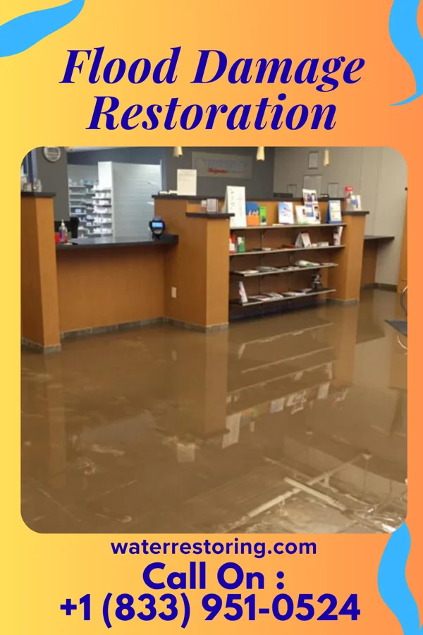 Flood Damage Restoration in Wagram, NC
